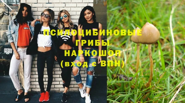 прущая мука Михайловка